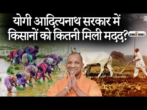 UP News: Yogi Adityanath Govt में Farmers को कितनी मदद मिल रही है? | Prabhat Khabar