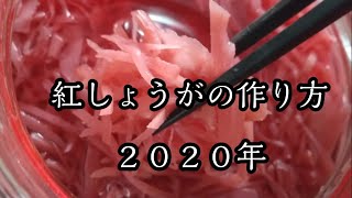 初心者さん向けに紅しょうがの作り方を詳しく How to make pickled ginger