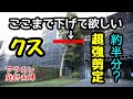 【剪定】265 ご要望にお応えします。クス強剪定！