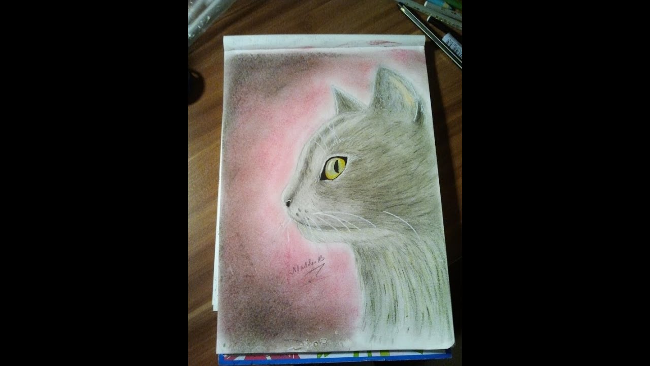 Katze mit Buntstiften und Pastellkreide - YouTube