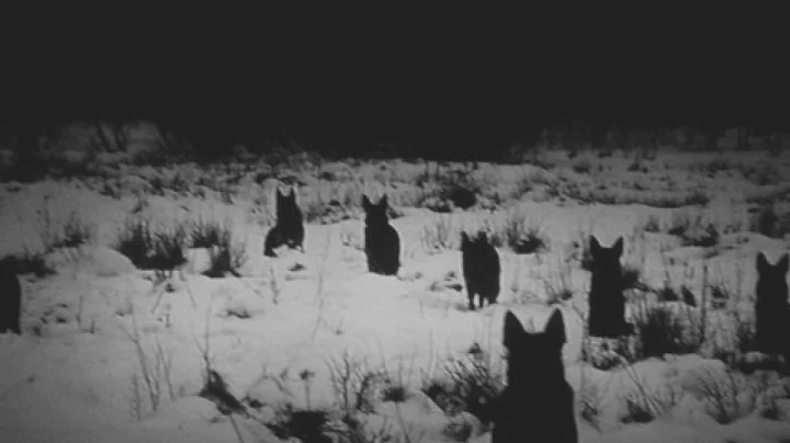 EOSphorus - White Satan (Demo)