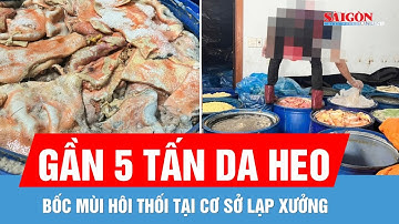 Gia Lai: Phát hiện gần 5 tấn da heo hôi thối tại cơ sở lạp xưởng