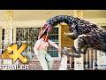 THE END OF OAK STREET Trailer 2 (4K ULTRA HD) 2026 | Dinosaur Movie