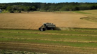 The Farmer's Life, Rye Harvest, Baling the Rye Straw