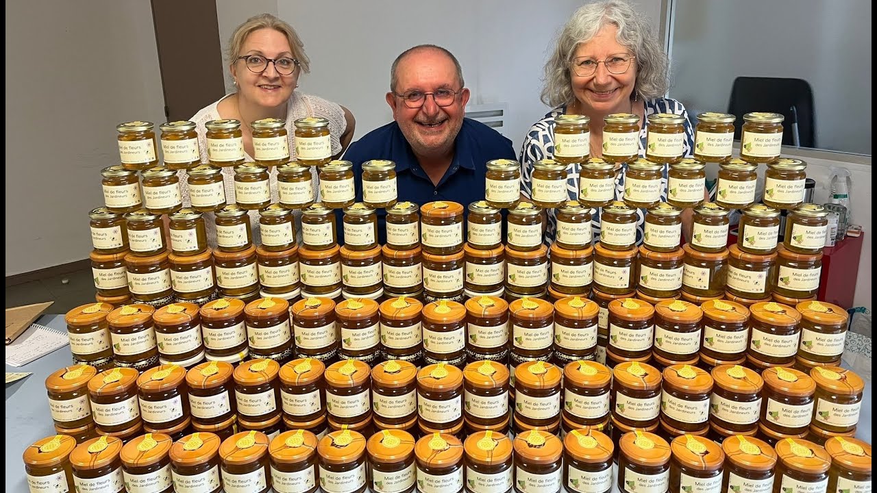 Récolte de miel 2025