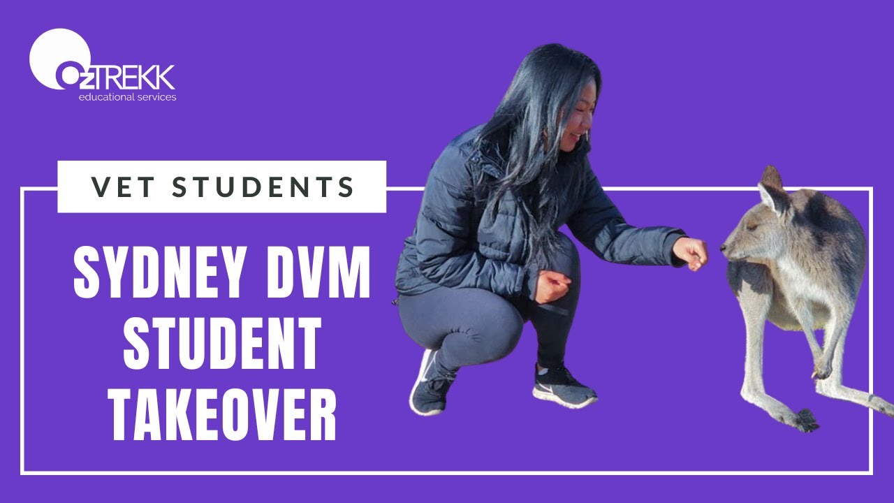 Vet Students: University of Sydney DVM Takeover with Cherri - YouTube