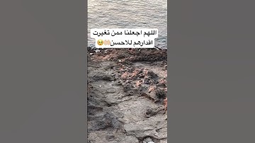 #القرآن_الكريم اللهم اجعلنا ممن تغيرت اقدارهم للاحسن #تلاوة_نادرة #quran #تلاوة_مؤثرة #تلاوة_خاشعة