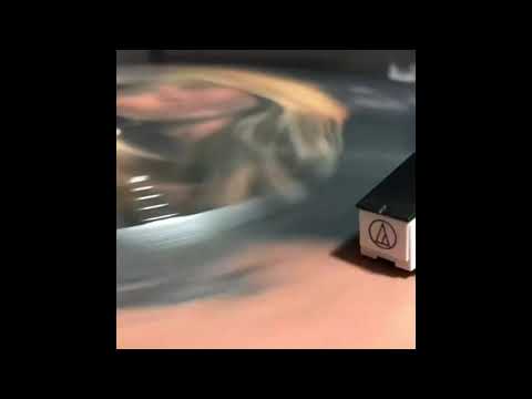 Vince Neil: You're