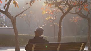 Free Stock Footage Download - Man Sat on Park Bench - Free Download at Videvo.net @VIDEV0