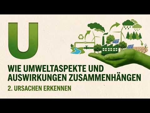 Lernvideo Schritt 2 · Ursachen