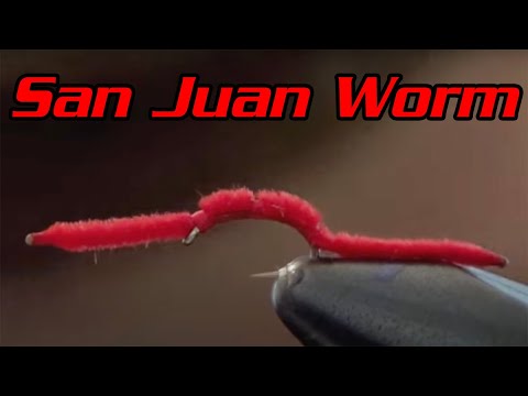 San Juan Worm