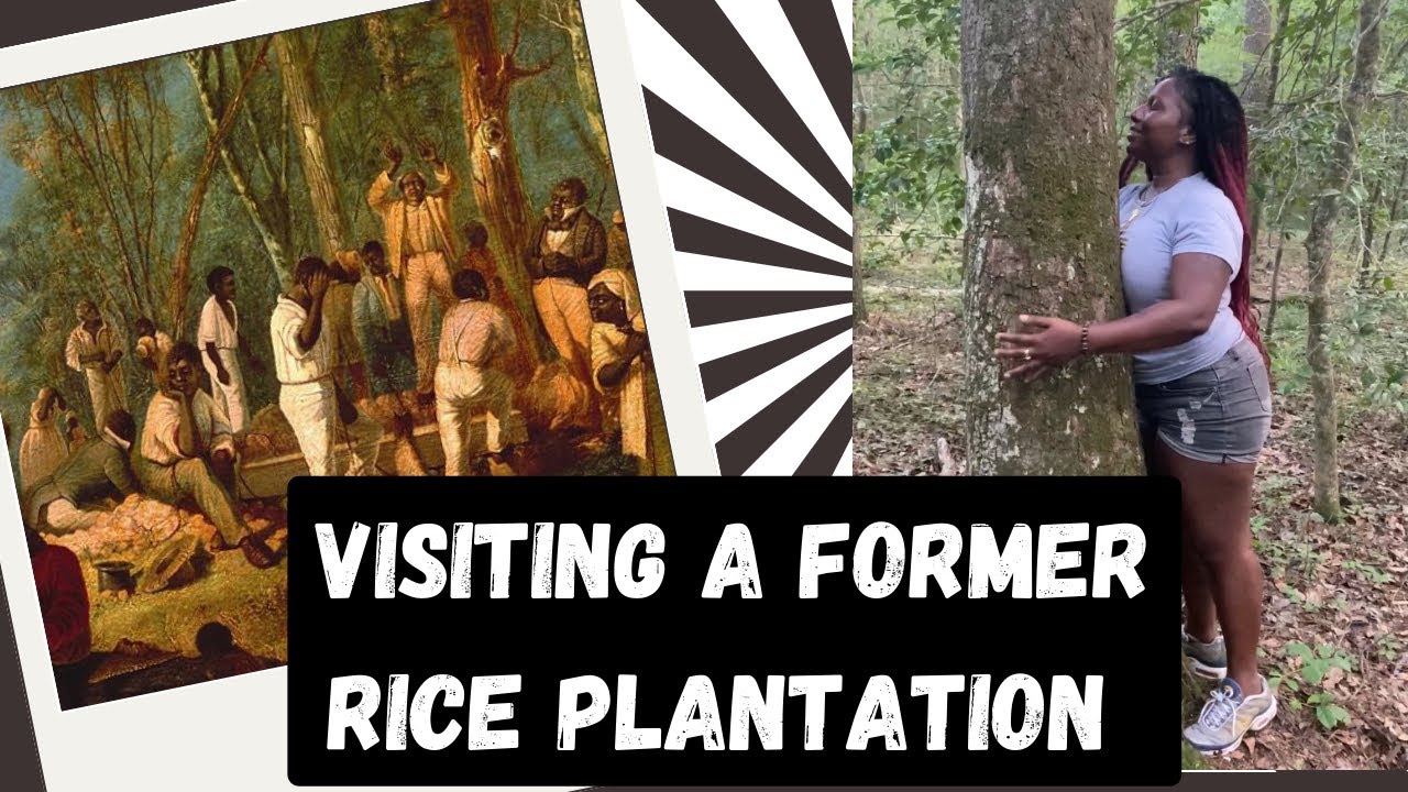 We visited a former rice plantation in Charleston! - YouTube