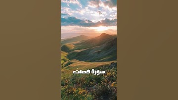 سورة فصلت #quran #explore #اكسبلور