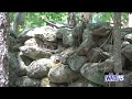 Mindfulness Trail in Warren encourages visitors to make discoveries