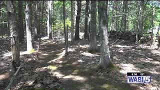 Mindfulness Trail in Warren encourages visitors to make discoveries