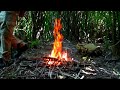 Sobrevivendo na floresta tropical , preparando meu próprio alimento