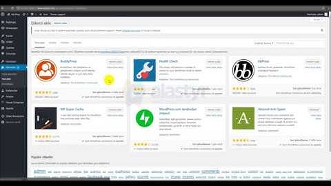 LiteSpeed Cache Eklenti Kurulumu ve Ayarları