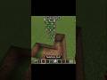 how to make a crazy door?#shorts #minecraft #buildhacks #foryou