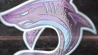 BDO - Decent Logo Animation