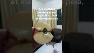 BEWARE!!! Fresh looking apple but rotten on the inside!