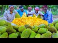 JACKFRUIT CUTTING & EATING | Jackfruit Recipe Cooking In Village | Jackfruit Paniyaram Recipe