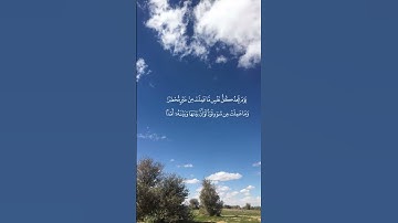 #تلاوة_خاشعة #تلاوه_مميزه #راحه_نفسيه #هدوء#القرآن_الكريم #قران_كريم