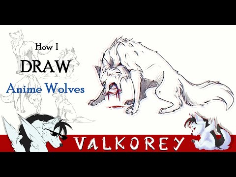 Wolf Sketch ← an anime Speedpaint drawing by Abila - Queeky - draw & paint