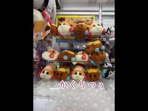 モルカーぬいぐるみが可愛いく取れる瞬間だけ Ufoキャッチャー Youtube