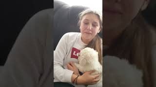 New Puppy Surprise - Unexpected reactions