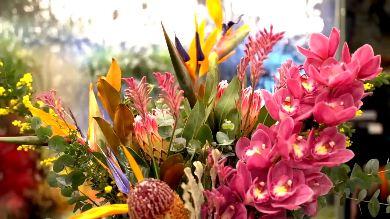 Flowers spread joy like no other living being 💖