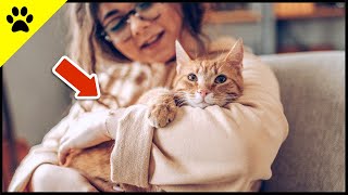 NOBODY Should Do THAT With Their Indoor Cat! 💔 by KittyTV 625 views 1 month ago 2 minutes, 52 seconds