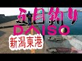 ダイソー釣具とキス釣り釣行 ダイソー釣具とキス釣り釣行
