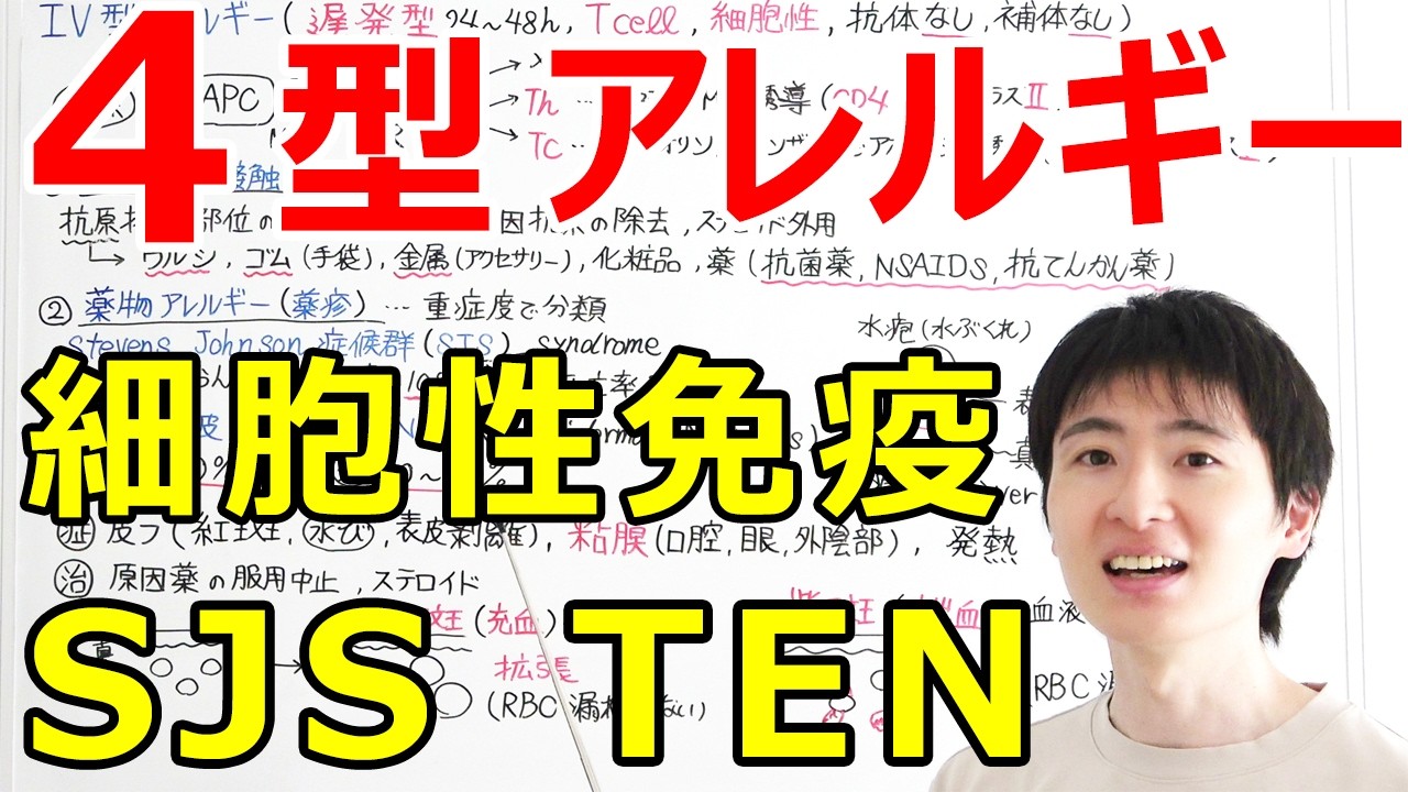 新規マイビデオプロジェクト 7