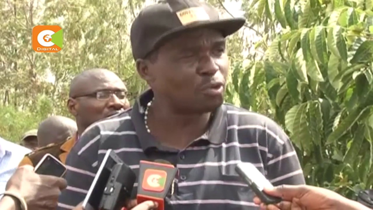 MP Gumbo defends embattled Auditor General Edward Ouko