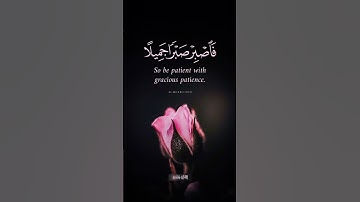 فاصبر صبرا جميلا #تلاوة_خاشعة #ماهر_المعيقلي