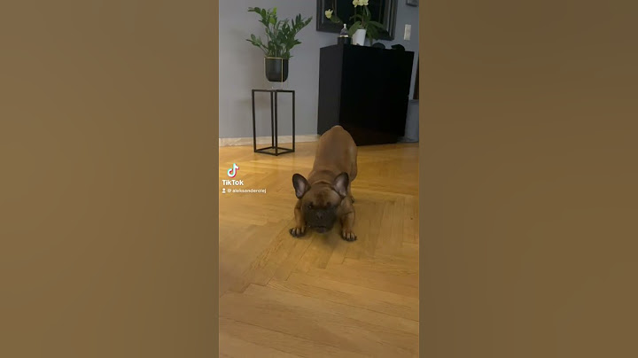 Ale z Ciebie bambik #shorts #viral