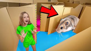 nastya her hamster s cardboard maze adventure