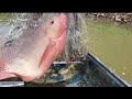 Pesca de tilapias gigantes en la presa de la codorniz en lancha