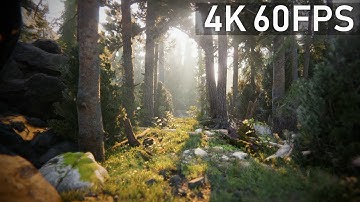 Most Realistic Looking Game Demo 2019! - Book Of The Dead Unity Demo