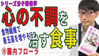 【心の不調を治す食事】⑨腸内フローラ（9/12）