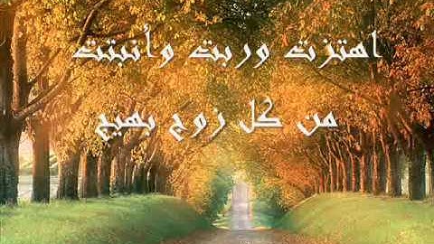 كامل يوسف البهتيمي سورة الحج(حجاز)
