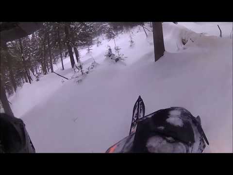 Видео: Snowmobile tree riding go pro edit #1