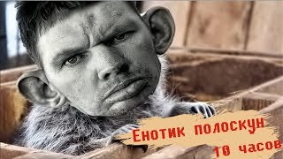 ЕНОТИК ПОЛОСКУН 10 ЧАСОВ | ГЛАД ВАЛАКАС