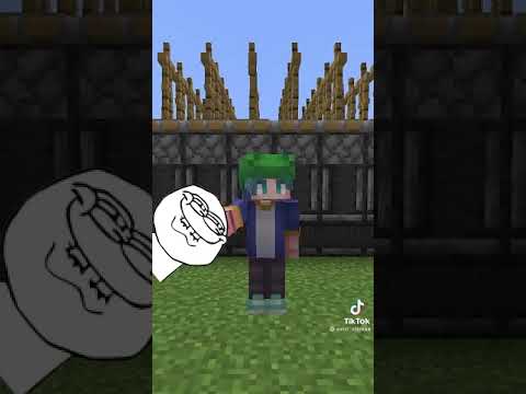 КАК КРАШНУТЬ СЕРВЕР В МАЙНКРАФТЕ??? | #shorts