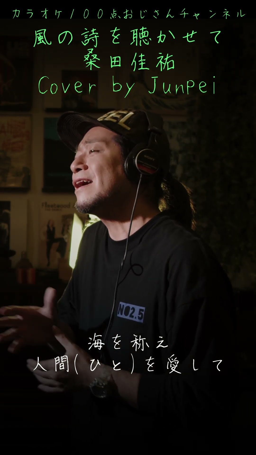 風の詩を聴かせて 桑田佳祐 カラオケ100点おじさん Unplugged cover