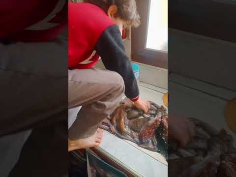 الأيام الزينة حكية حسيسن وميمان والقرانط
