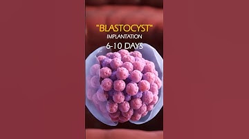 Development of the PLACENTA in the womb ❤️ #shorts #baby #pregnancy