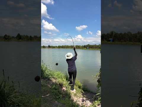 Báo cá nha ae ơi #vyhanfishing #cancauca