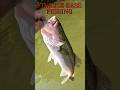 FINESSE BASS FISHING LAKE RHODHISS, NC.