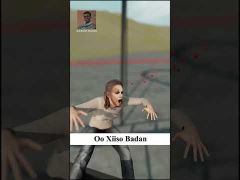 Birtii Haysay Ayaa U Furatay 